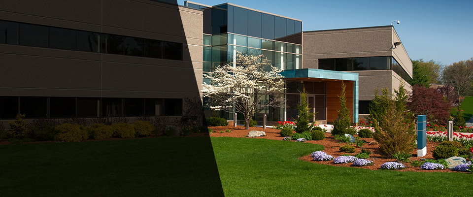 Sun City West Landscapers