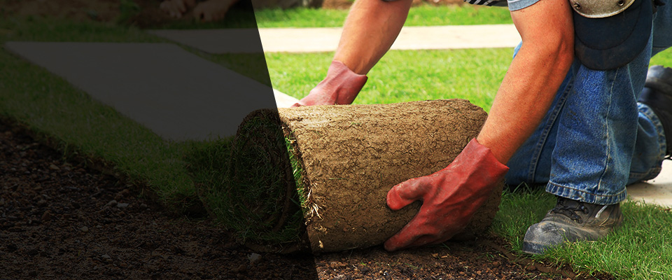 Sun City West Landscapers